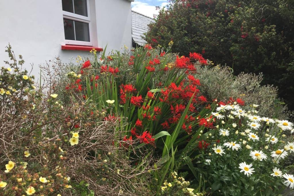 Red Stonecutters Cottage, Doolin Carrowauff Luaran gambar